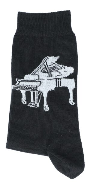 Musikboutique Socken Flügel, 39-42