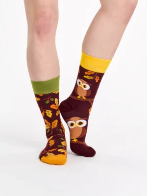 Dedoles Socken Curious Owl, 35-38