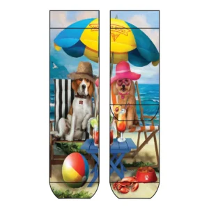 Cool 7 Socks Dogs in deckchairs, 36-41