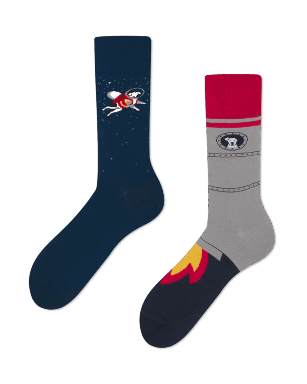 Many Mornings Space Dog, 43-46
