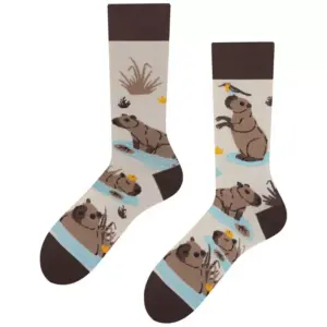 Todo Themen-Socken Capybara, 35-38
