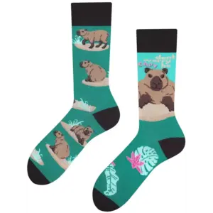 Todo Themen-Socken Kapibara, 35-38