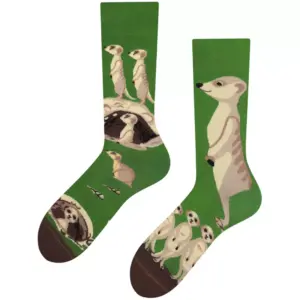 Todo Themen-Socken Meerkat, 43-46