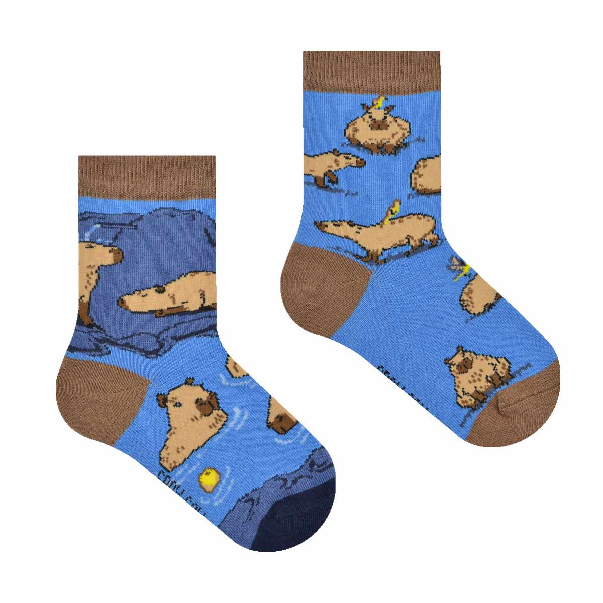 Sox Sox Themen-Socken Capybara, 23-26