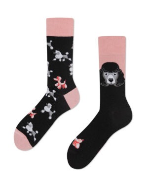 Many Mornings The Poodles, 43-46