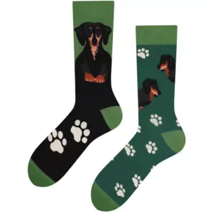 Todo Themensocken Dackel, 35-38